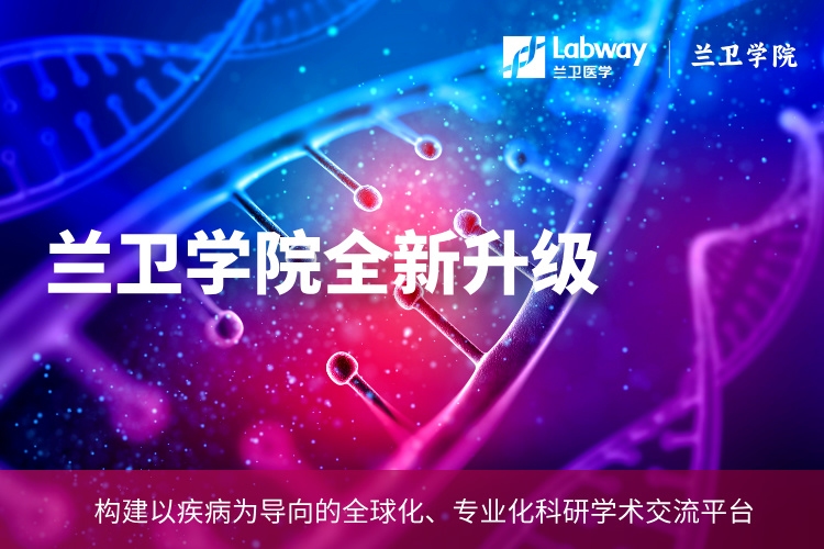 副本_副本_副本_互联网新品发布会宣传简约手机海报Pro__2025-01-21+21_30_26.jpg